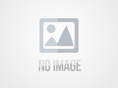 We will participate in global sources exhibition in HK during April 18-21 2017